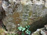 image of grave number 166607